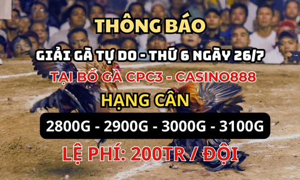 Trực Tiếp Đá Giải Gà Tự Do CPC3 26/07/2024