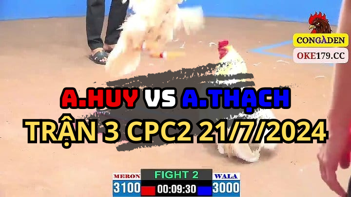 Trận 3 CPC2 21/07/2024 Trận Gà Của anh Huy và anh Thạch Đá Gà Thomo