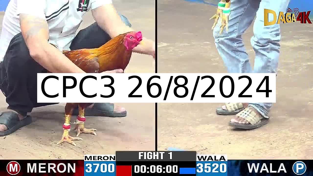 Full 47 Trận - Video đá gà trực tiếp CPC3 Campuchia ngày 26/8/2024