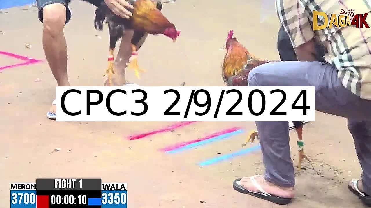 Full 16 Trận - Video đá gà trực tiếp CPC3 Campuchia ngày 2/9/2024