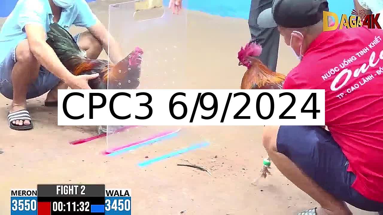 Full 38 Trận - Video đá gà trực tiếp CPC3 Campuchia ngày 6/9/2024