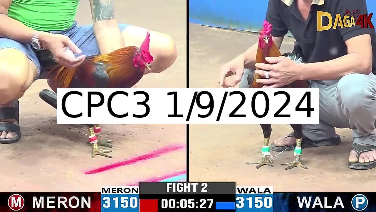 Full 42 Trận - Video đá gà trực tiếp CPC3 Campuchia ngày 1/9/2024