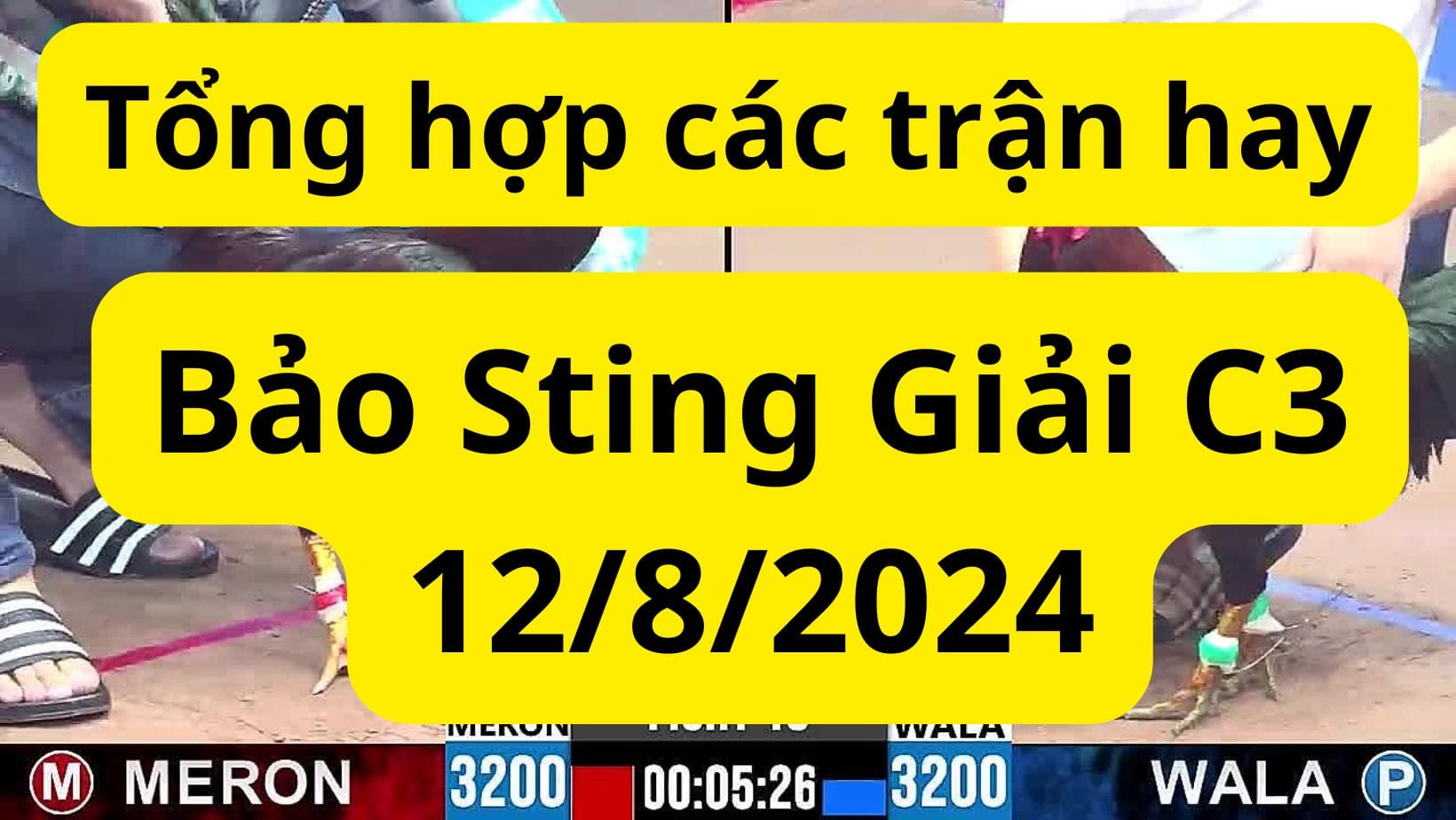 Idol Bảo Sting tham gia giải đá gà CPC3 ngày 8/12/2024