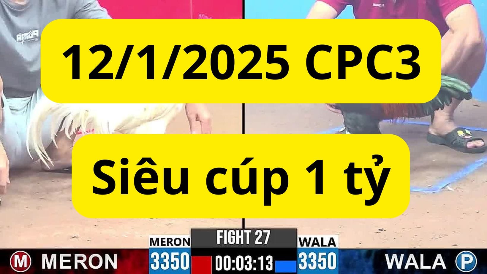 Giải đá gà 1 tỷ C3 ngày 12/1/2025 - siêu cúp