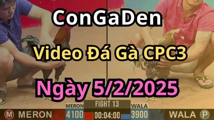 Thông Báo Giải Đá Gà CPC3 Campuchia Ngày 5/2/2025